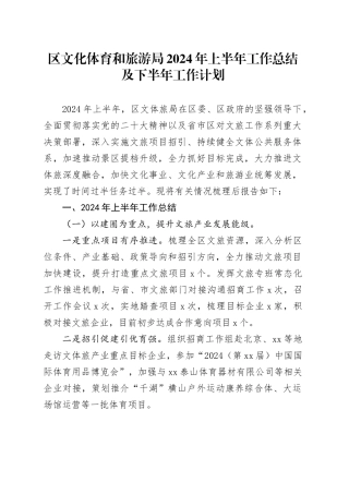区文化体育和旅游局2024年上半年工作总结及下半年工作计划