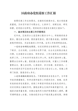 区政府办党组巡察工作汇报