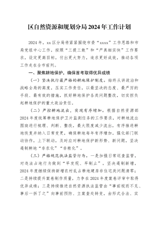 区自然资源和规划分局2024年工作计划