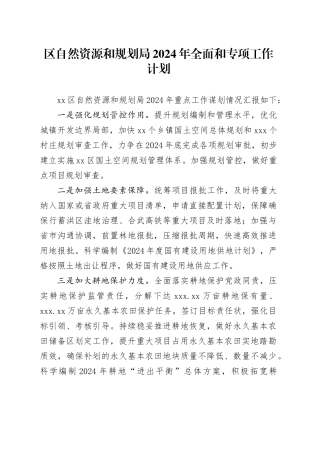 区自然资源和规划局2024年全面和专项工作计划（20240312）