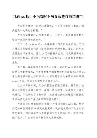 市县：不误农时不负春 蒋巷育秧犁田忙