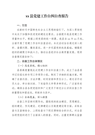 县党建工作自纠自查报告
