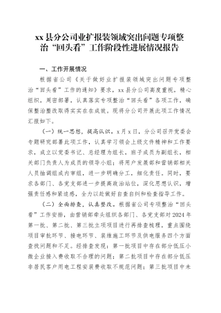 县分公司业扩报装领域突出问题专项整治“回头看”工作阶段性进展情况报告