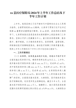 县医疗保障局2024年上半年工作总结及下半年工作计划