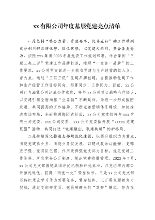 有限公司年度基层党建亮点清单