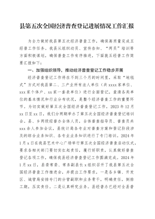 县第五次全国经济普查登记进展情况工作汇报