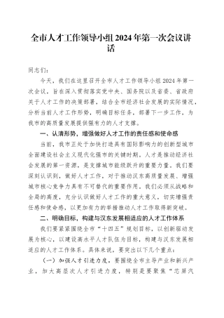 全市人才工作领导小组2024年第一次会议讲话