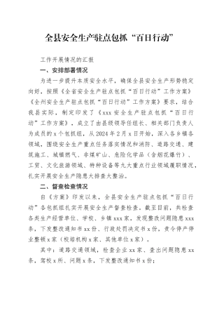 全县安全生产驻点包抓“百日行动”工作开展情况的汇报