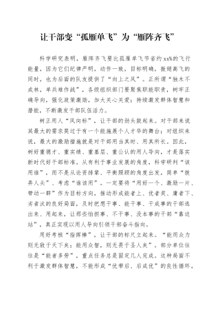 让干部变“孤雁单飞”为“雁阵齐飞”