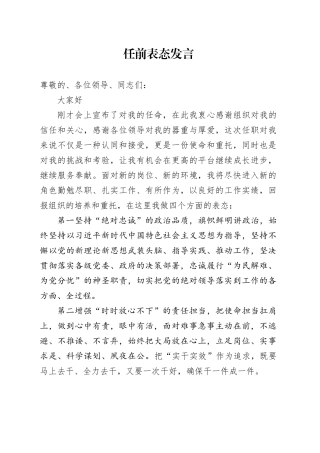 任前表态发言（县委版）