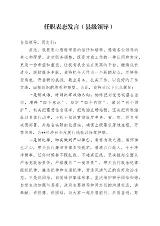 任职表态发言（县级领导）(1)
