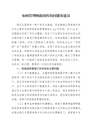 如何管理财政国库的问题及建议