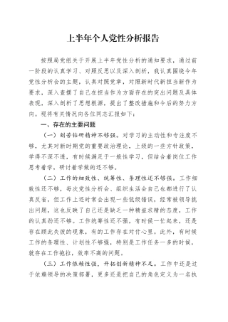 上半年个人党性分析报告20240717