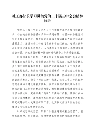 社工部部长学习贯彻党的二十届三中全会精神体会