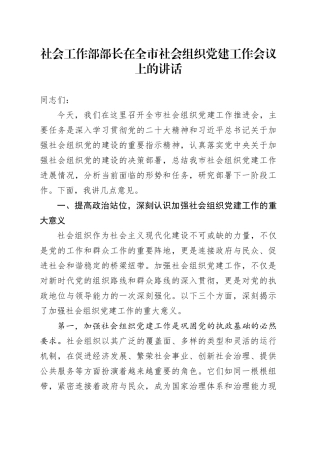 社会工作部部长在全市社会组织党建工作会议上的讲话20241108