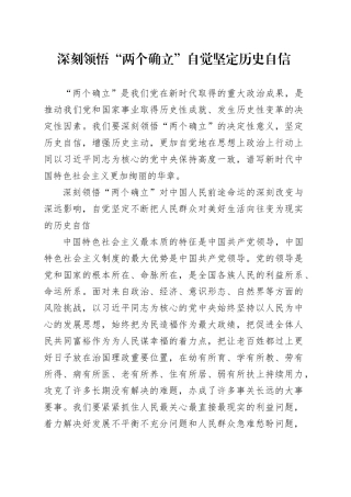 深刻领悟“两个确立”自觉坚定历史自信