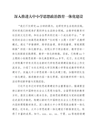 深入推进大中小学思想政治教育一体化建设