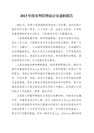 审管办述职报告2023