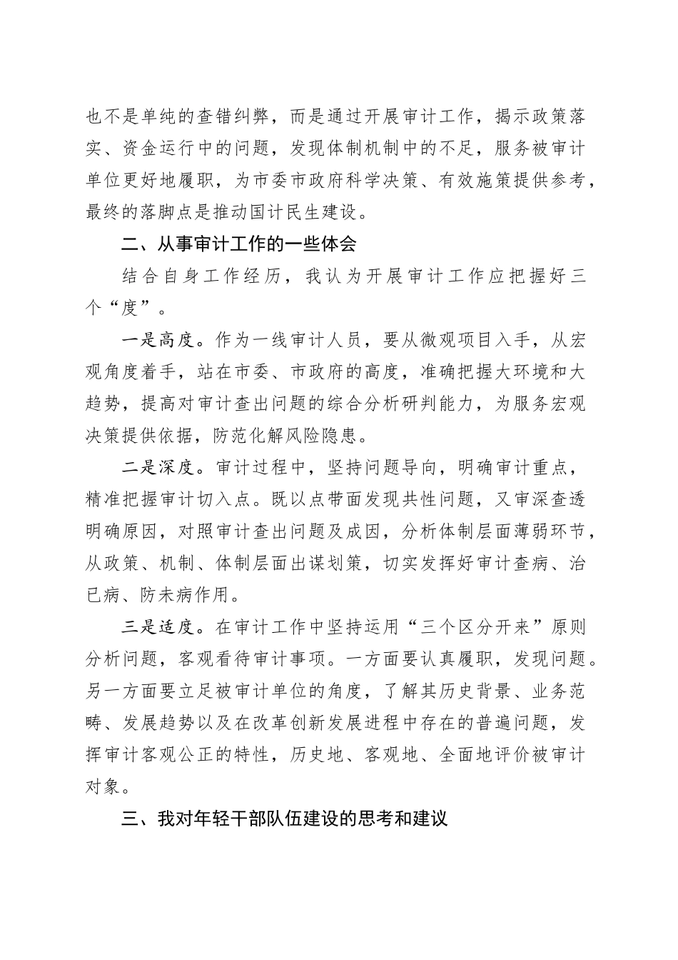 审计干部在青年干部座谈会上的发言材料_第2页
