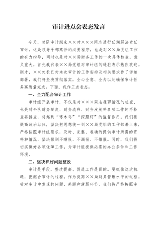 审计进点会表态发言