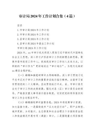 审计局2024年工作计划合集（4篇）