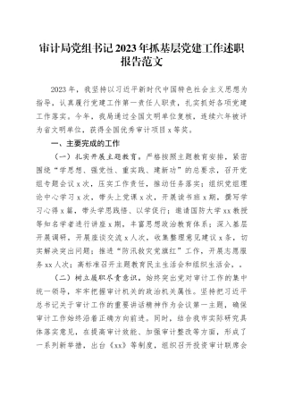 审计局党组书记2023年抓基层党建工作述职报告20240221