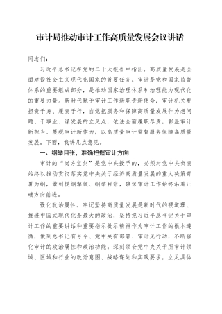 审计局推动审计工作高质量发展会议讲话20241106