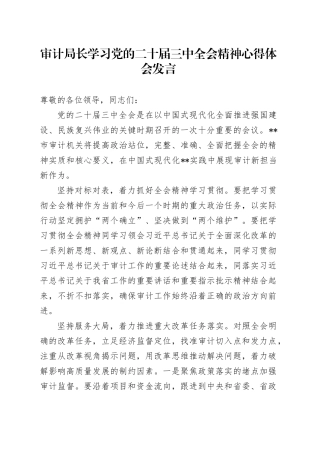 审计局长学习党的二十届三中全会精神心得体会发言