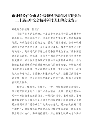 审计局长在全市县处级领导干部学习贯彻党的二十届三中全会精神研讨班上的交流发言