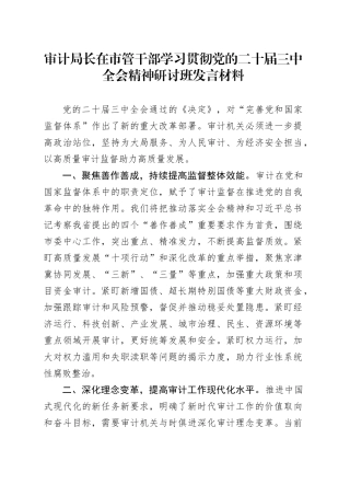 审计局长在市管干部学习贯彻党的二十届三中全会精神研讨班发言材料心得体会20241016