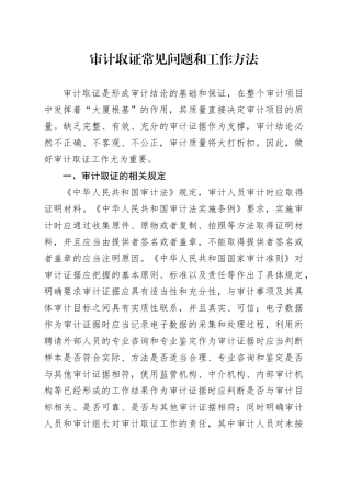 审计取证常见问题和工作方法