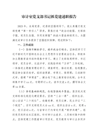 审计室党支部书记抓党建述职报告