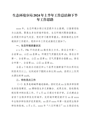 生态环境分局2024年上半年工作总结和下半年工作思路