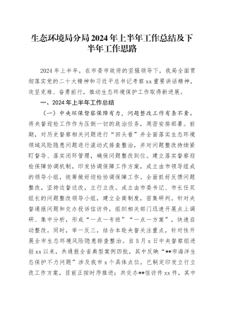 生态环境局分局2024年上半年工作总结及下半年工作思路