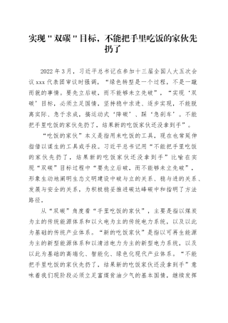 实现＂双碳＂目标，不能把手里吃饭的家伙先扔了