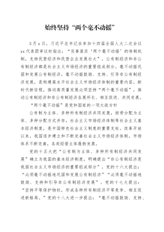 始终坚持“两个毫不动摇”