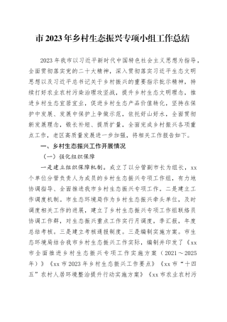 市2023年乡村生态振兴专项小组工作总结（20240202）