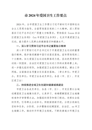 市2024年爱国卫生工作要点（20240328）