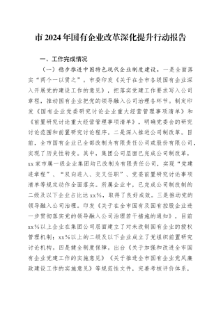市2024年国有企业改革深化提升行动报告