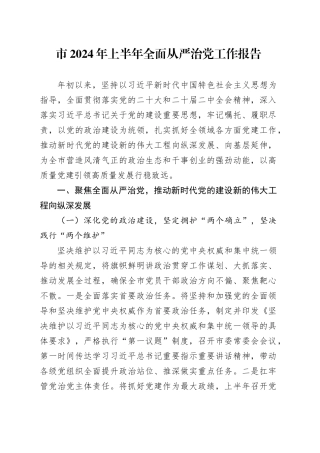 市2024年上半年全面从严治党工作报告汇报报告20240703