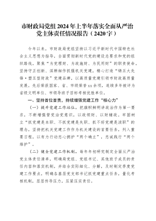 市财政局党组2024年上半年落实全面从严治党主体责任情况报告（2420字）