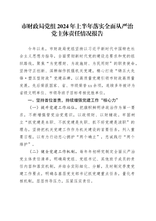 市财政局党组2024年上半年落实全面从严治党主体责任情况报告
