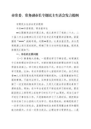 市常委、常务副市长专题民主生活会发言提纲