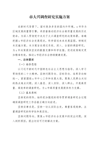 市大兴调查研究实施方案