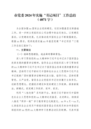 市党委2024年实施“书记项目”工作总结（4071字）