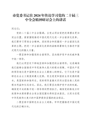 市党委书记在2024年传达学习党的二十届三中全会精神研讨会上的讲话