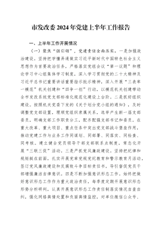 市发改委2024年党建上半年工作报告