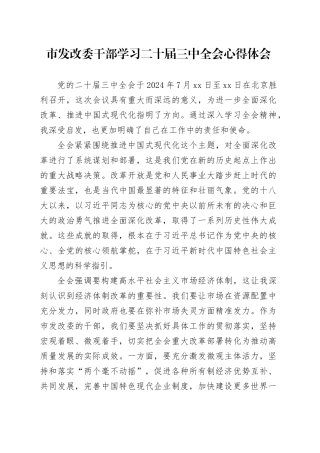市发改委干部学习二十届三中全会心得体会