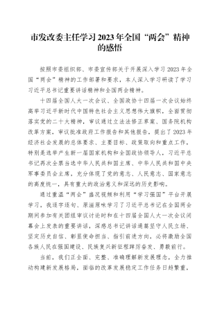 市发改委主任学习2023年全国“两会”精神的感悟