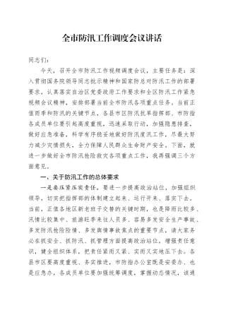 市防汛工作调度会议讲话20240802